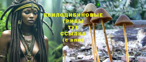 скорость Алзамай